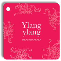 Essential Oil Cards - The Everyone Edition