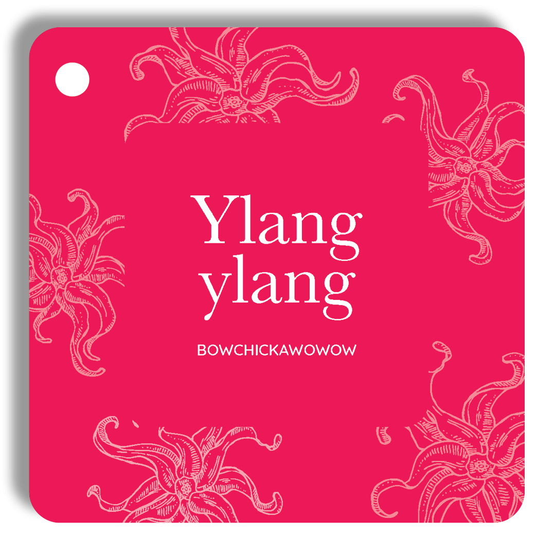 Essential Oil Cards - The Everyone Edition