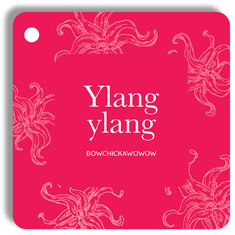 Essential Oil Cards - The Everyone Edition