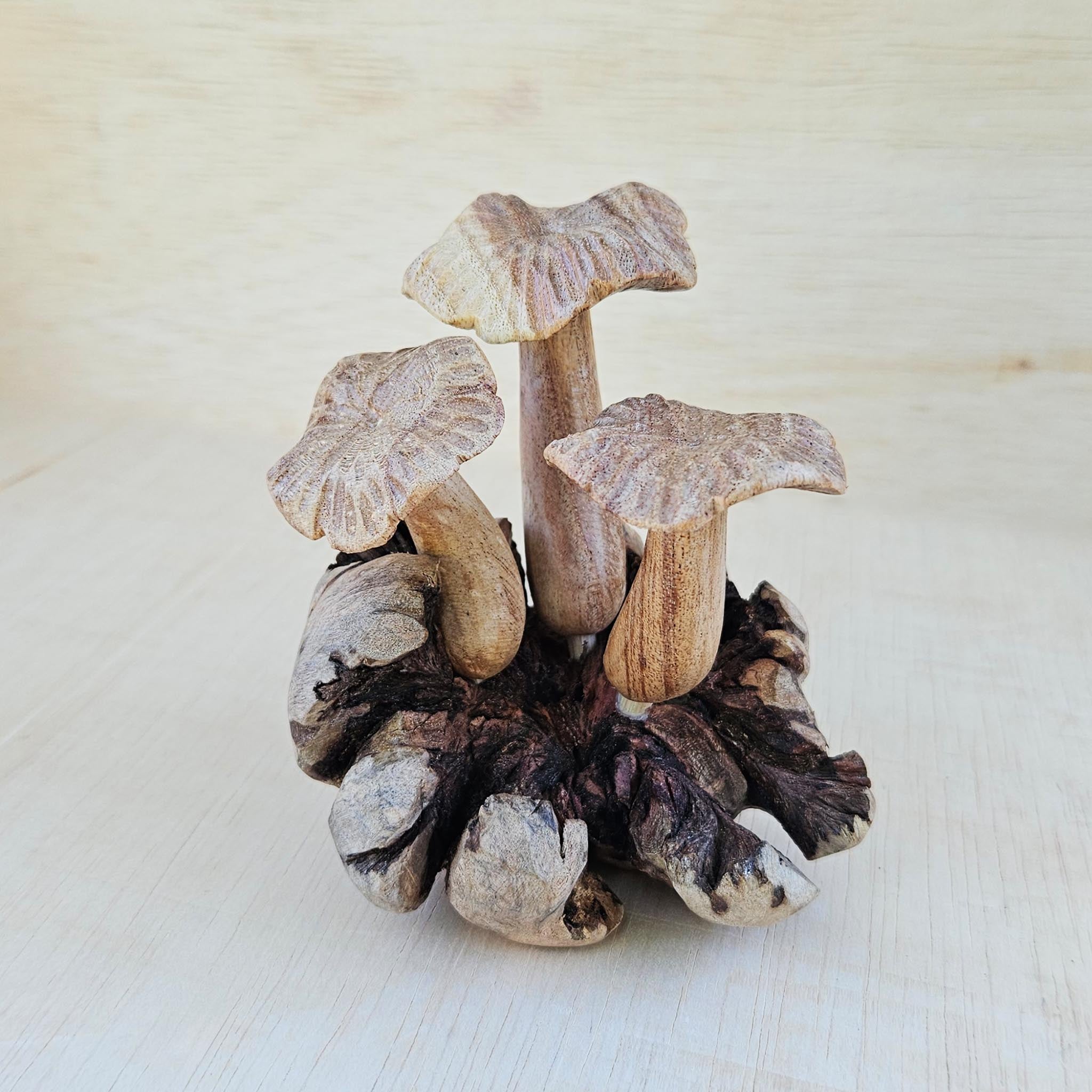 Parasite Wood Carved Stem Etched Mushrooms