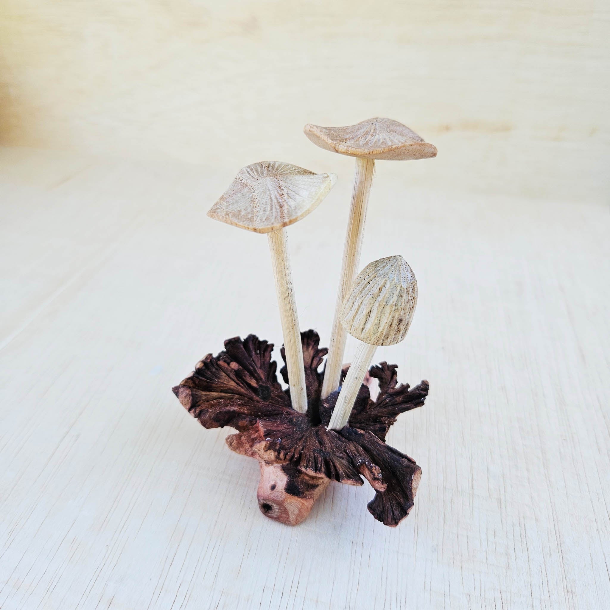 Decorative arrangement of mushrooms on a textured surface
