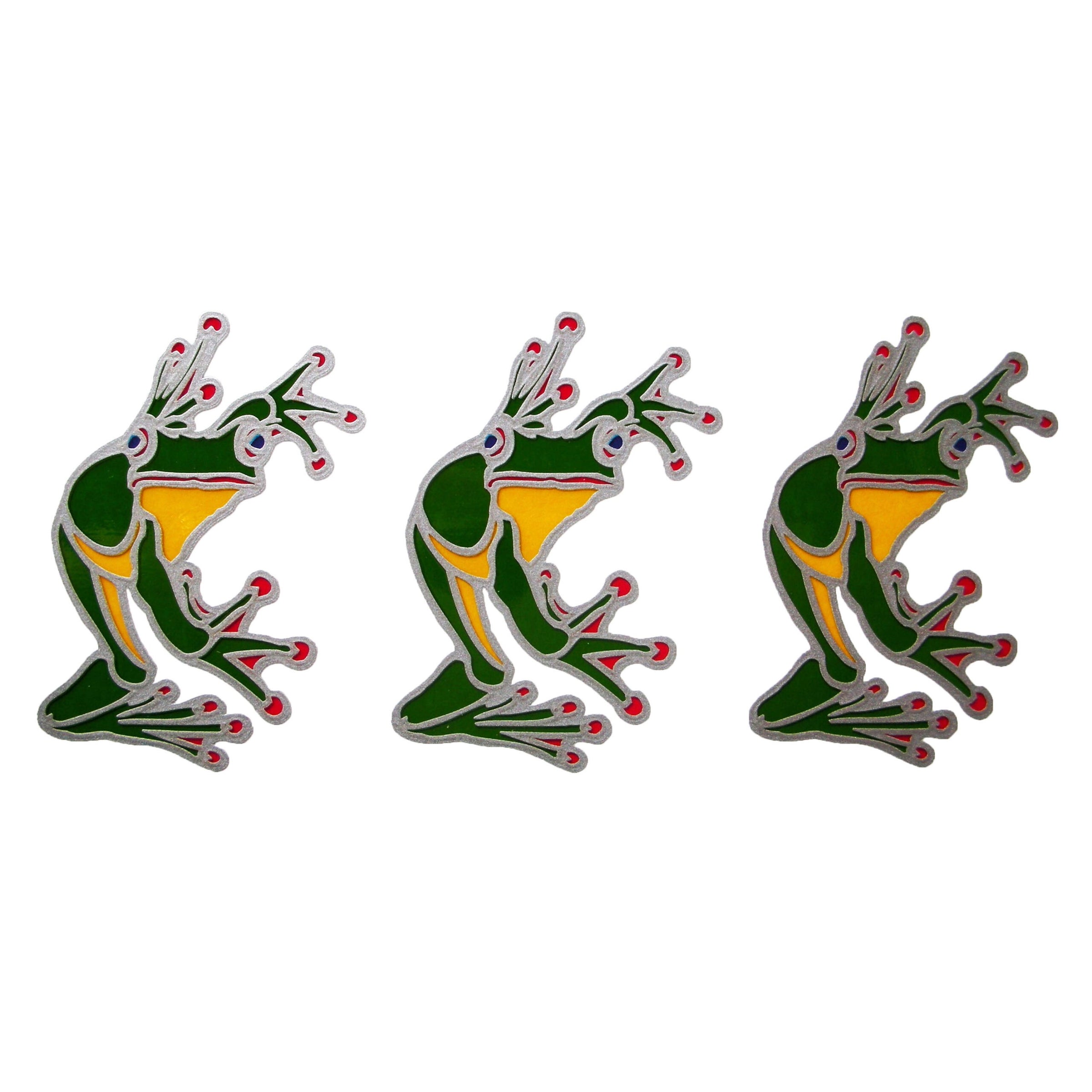 Sunlight Red Eyed Tree Frogs