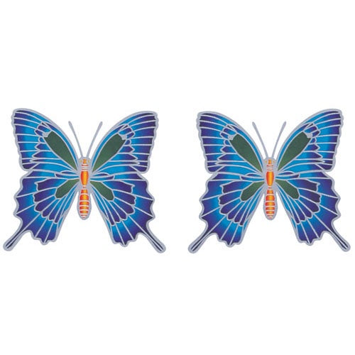 Sunlight Ulysses Butterfly