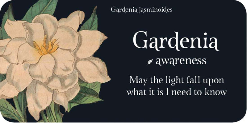 The Language of Flowers