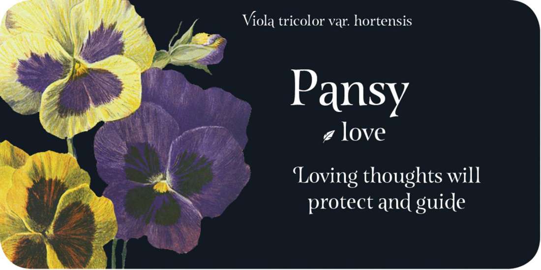 The Language of Flowers