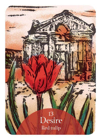 The Language of Flowers Oracle