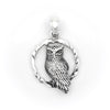 Sterling Silver Perched Owl Pendant